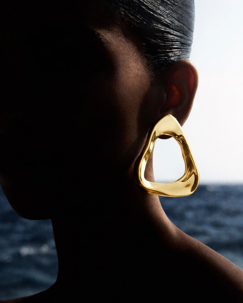 Daimon Dual Earring